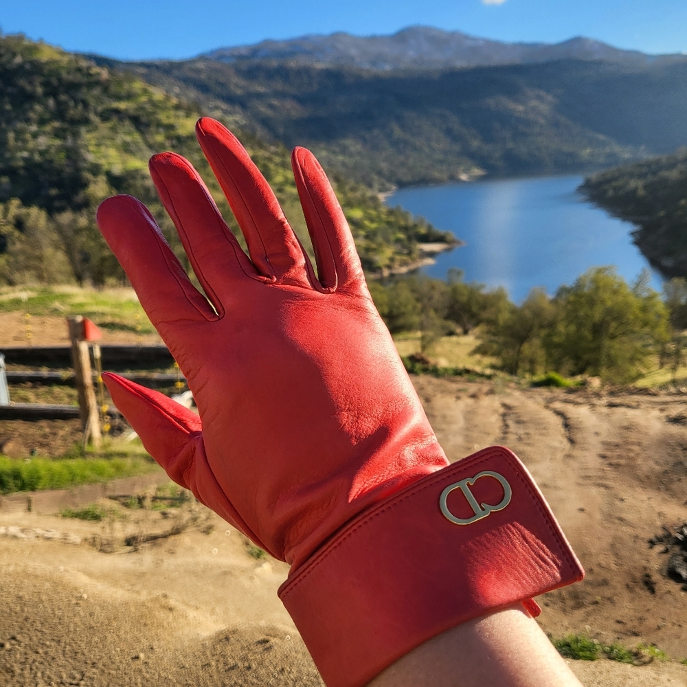 Christian dior gloves